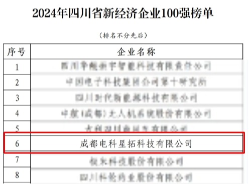 电科XPJ官网荣膺“2024年四川省新经济企业”100强榜单.jpg